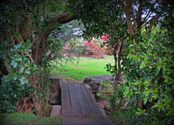 The garden surrounds at Austinmer Gardens B & B